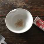 アリは”ほんだし”を食べるのか!?徹底検証!