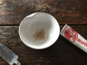 アリは”ほんだし”を食べるのか！？徹底検証！