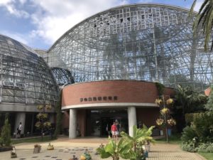 夢の島熱帯植物館に熱帯のアリ!?どんな蟻がいるか調査してきた!【東京】
