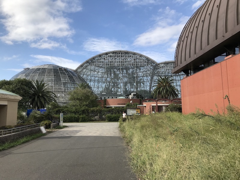 夢の島熱帯植物館の大温室