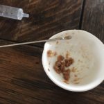 アリはかつお節を食べるのか！？【おかかを与えてみた】