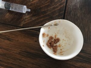 アリはかつお節を食べるのか！？【おかかを与えてみた】