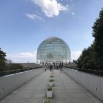 葛西臨海公園で昆虫観察！どんな蟻がいる？