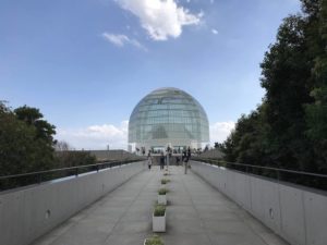 葛西臨海公園で昆虫観察!どんな蟻がいる?