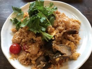 アリはナンプラーを食べるのか!?蟻に魚醤を与えてみた!