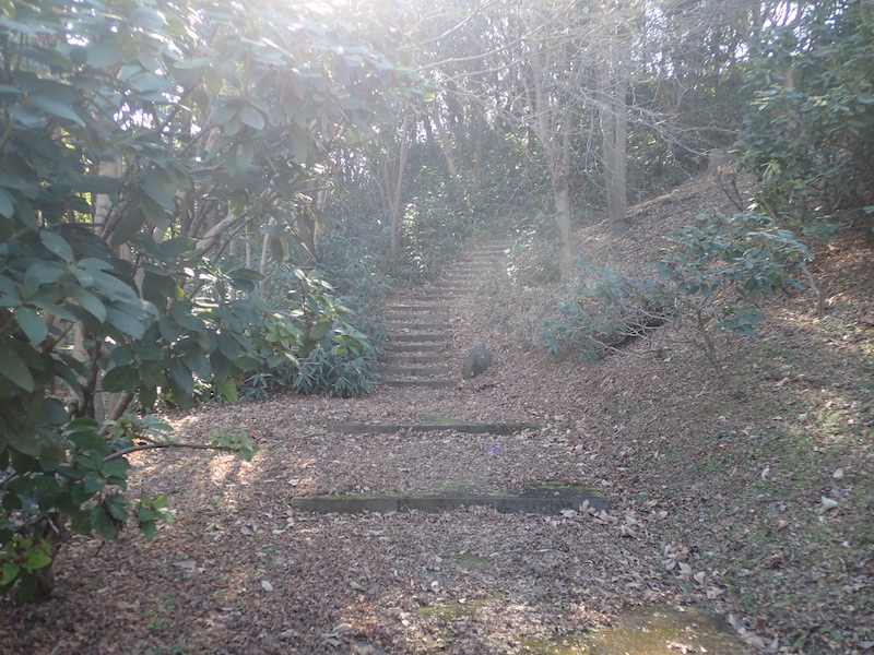 階段のある登山道