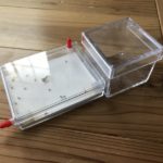 アリ飼育ケースのエサ場を簡単に自作しよう！