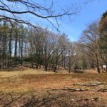 ウノタワへ行こう!お手軽山登りで自然林に触れる