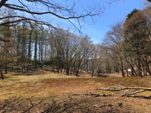 ウノタワへ行こう！お手軽山登りで自然林に触れる