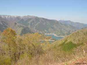 昆虫採集禁止の公園やエリアは?【東京都版】