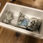 ヤフオク!でアリを落札・購入してみたら分かった見極めのポイント