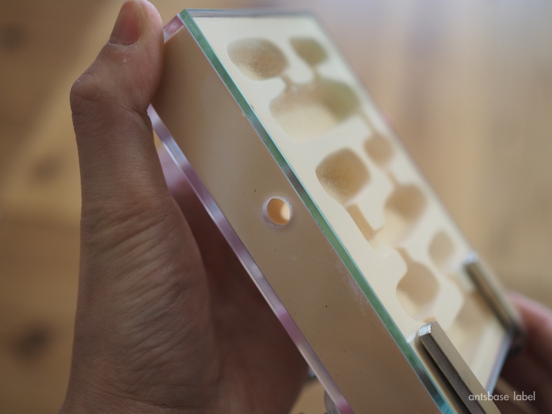 エサ場への通り道