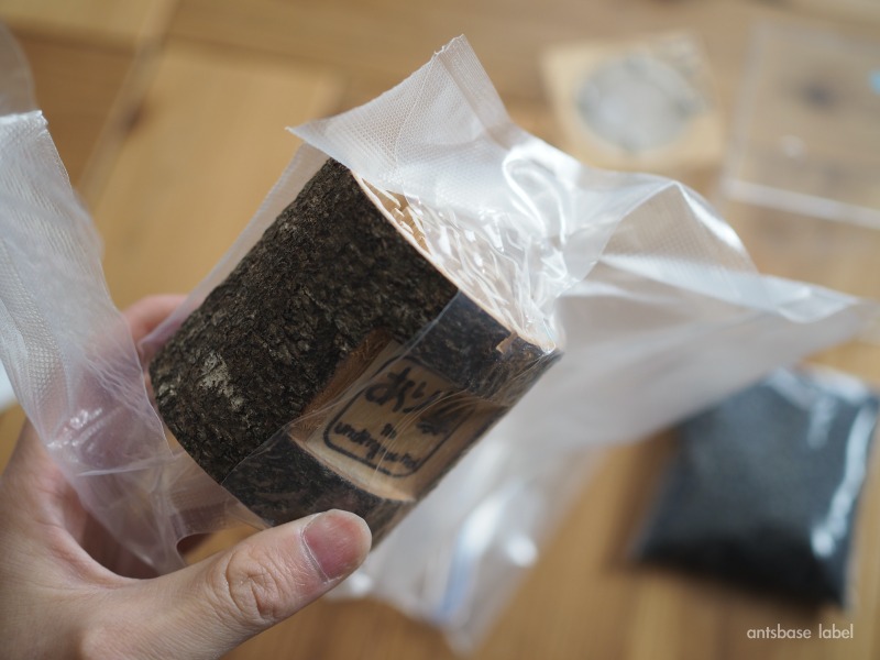 丸太巣を開封するところ