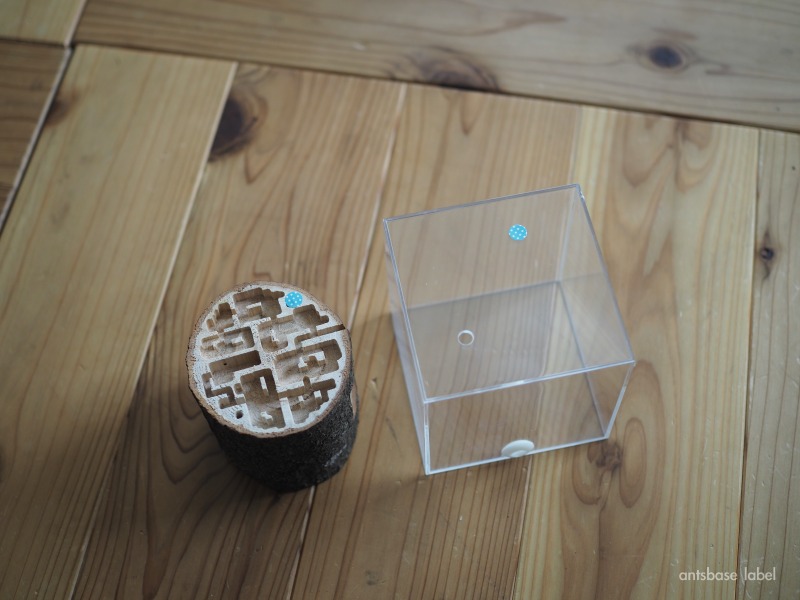 ネジ位置を確認する