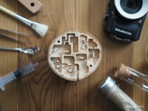 木製のアリ飼育ケース！丸太巣を徹底レビュー