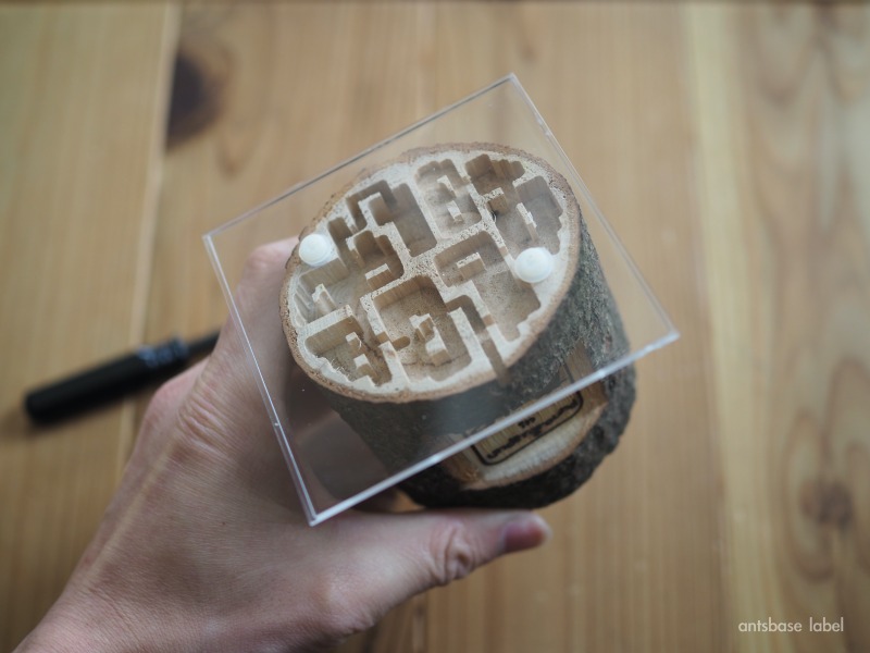 固定された丸太巣