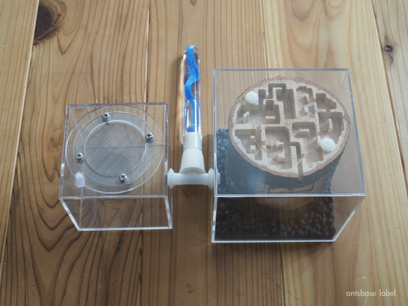 完成した丸太巣