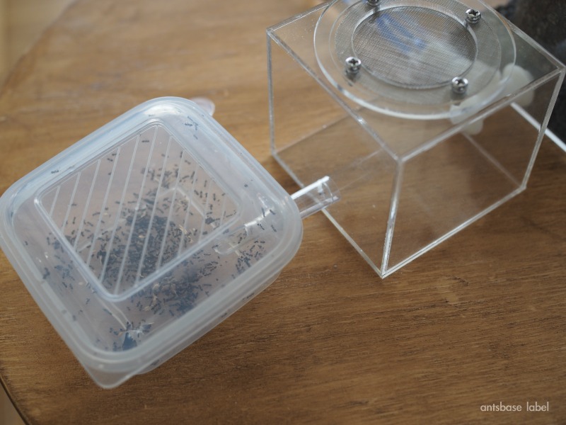 エサ場につなげる