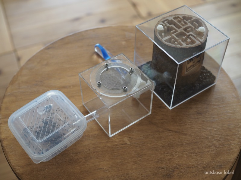 エサ場とつなげる