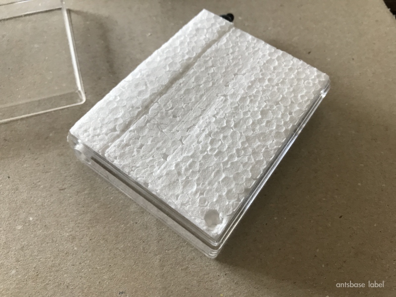 発泡スチロールアリ飼育ケース