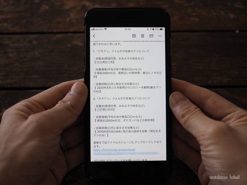 同定依頼メール