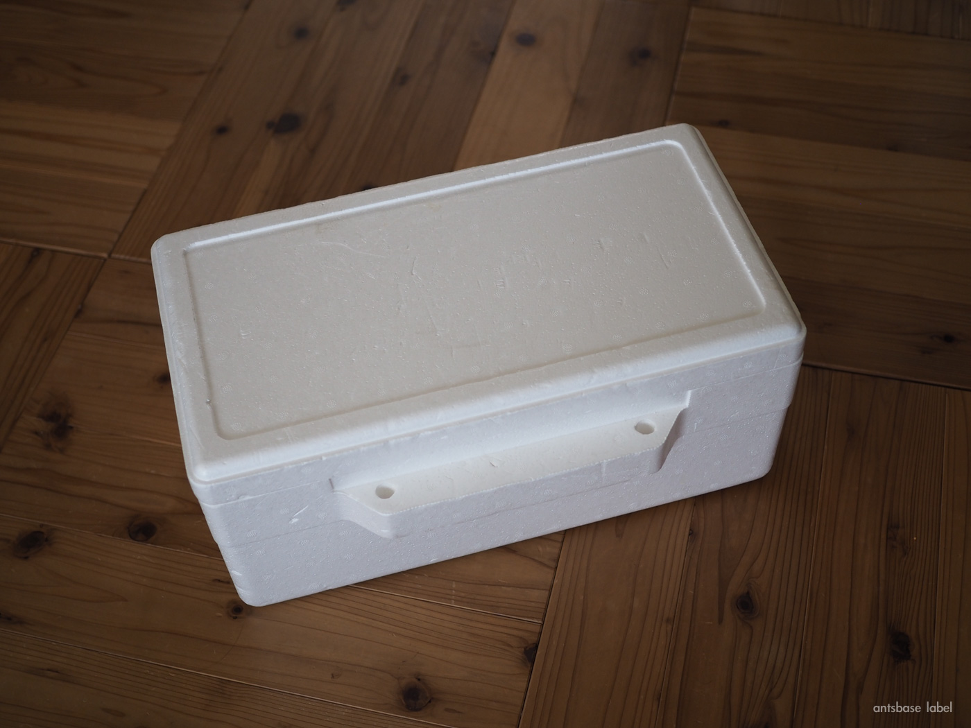 発泡スチロール