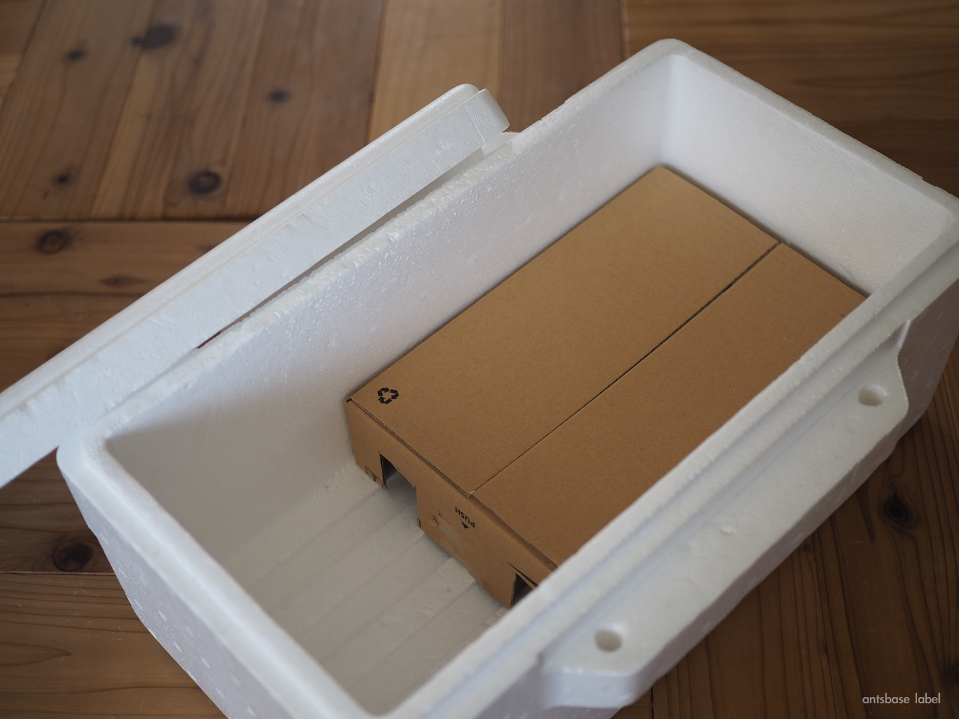 ケースにはめる