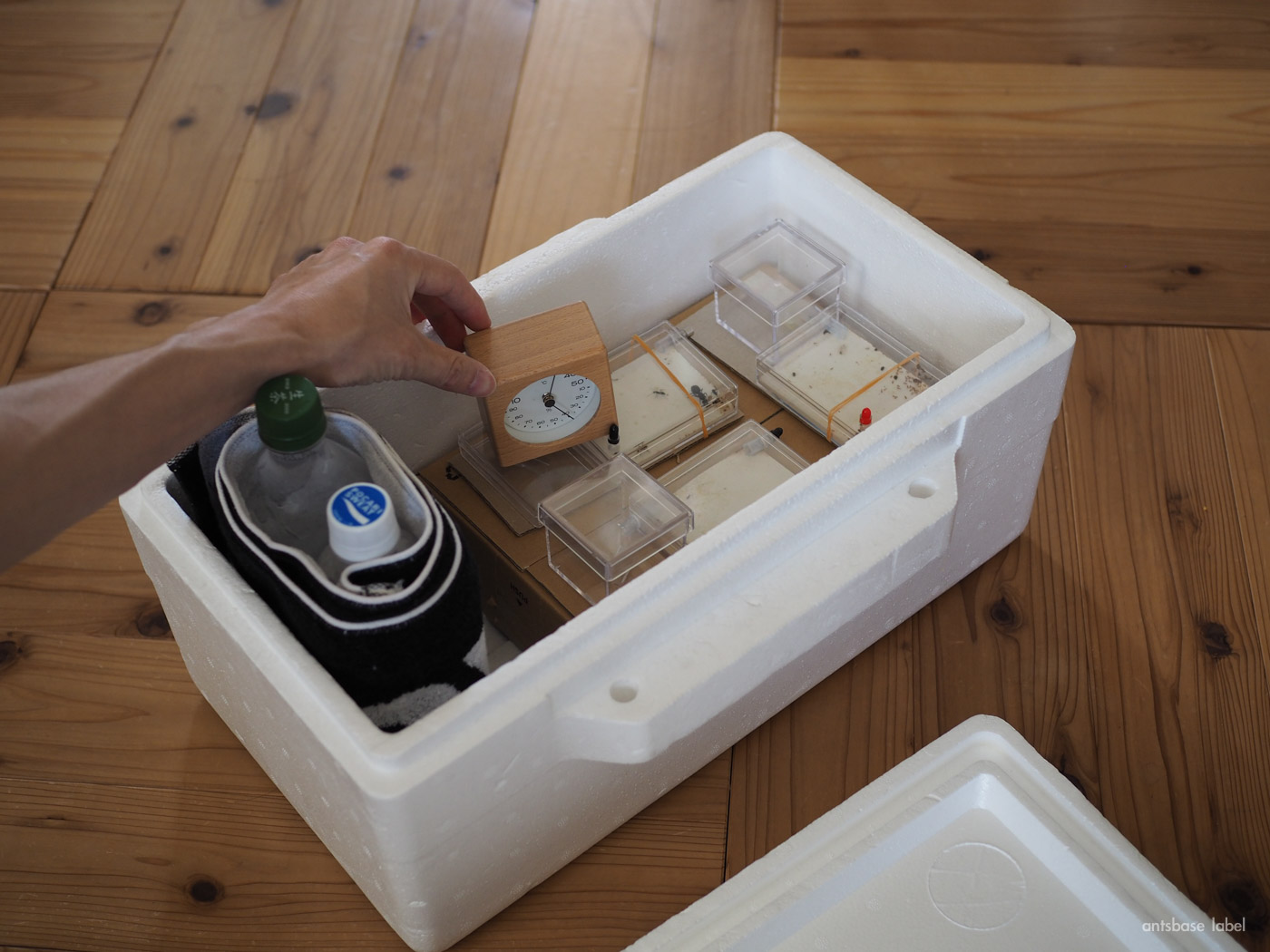 温度計を入れる