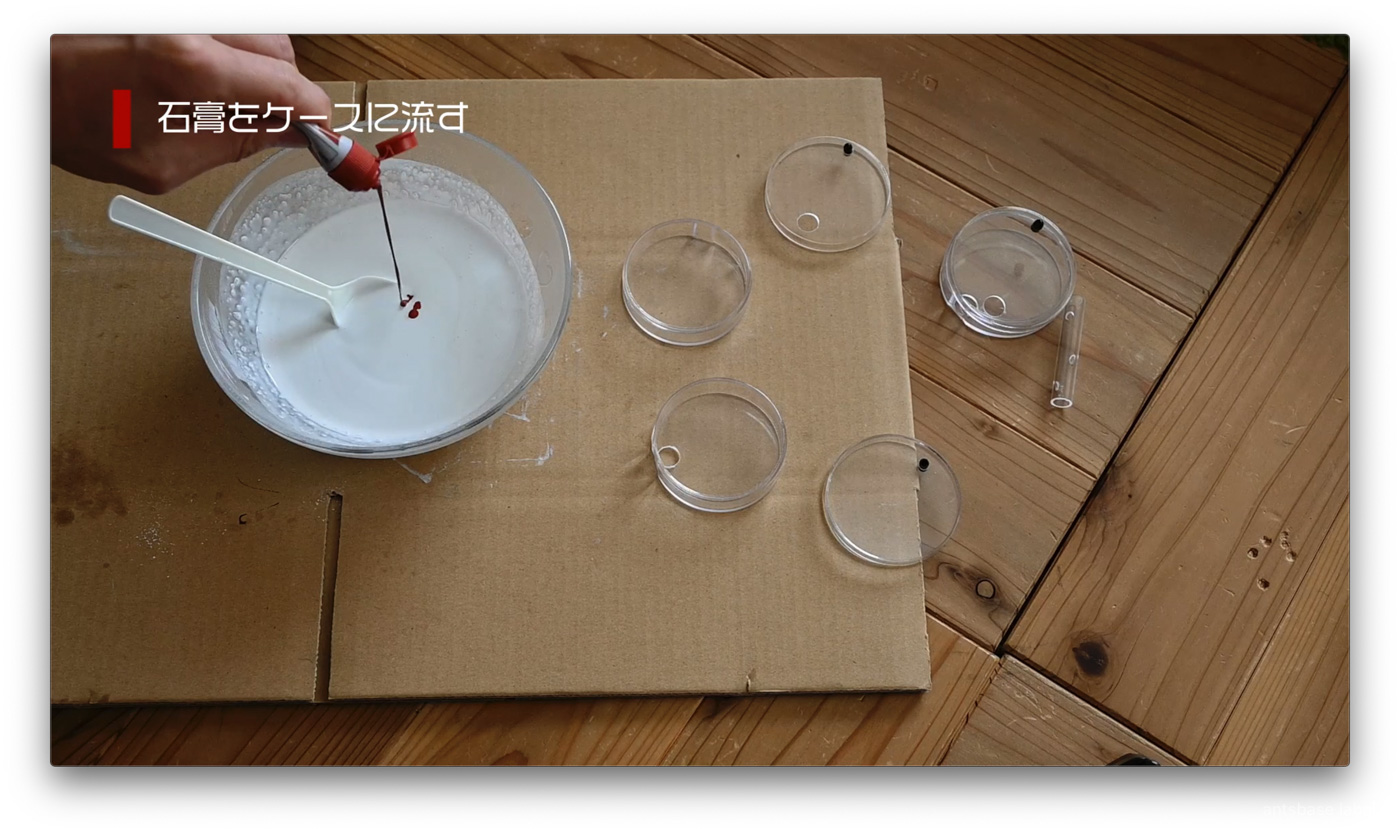 石膏に絵の具を入れる