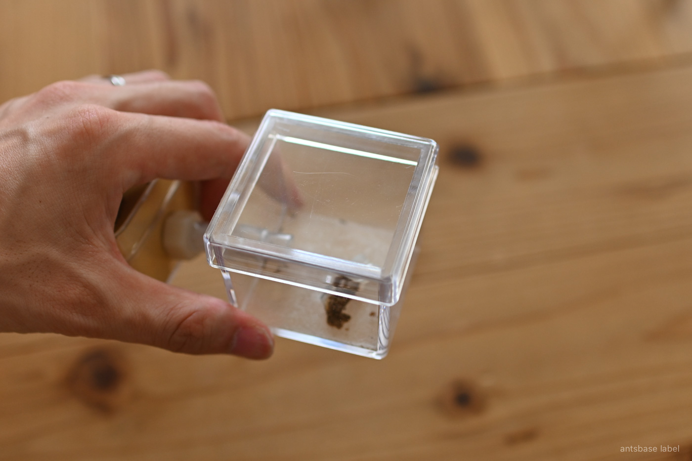 エサ場BOXタイプ