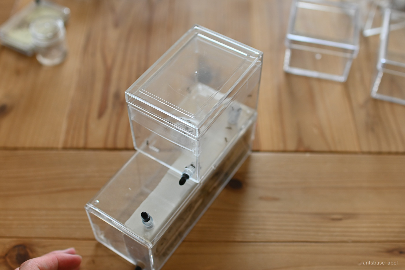 ダイソーケース