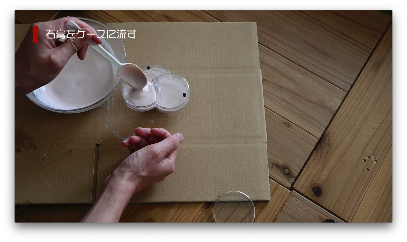 石膏を流し入れる
