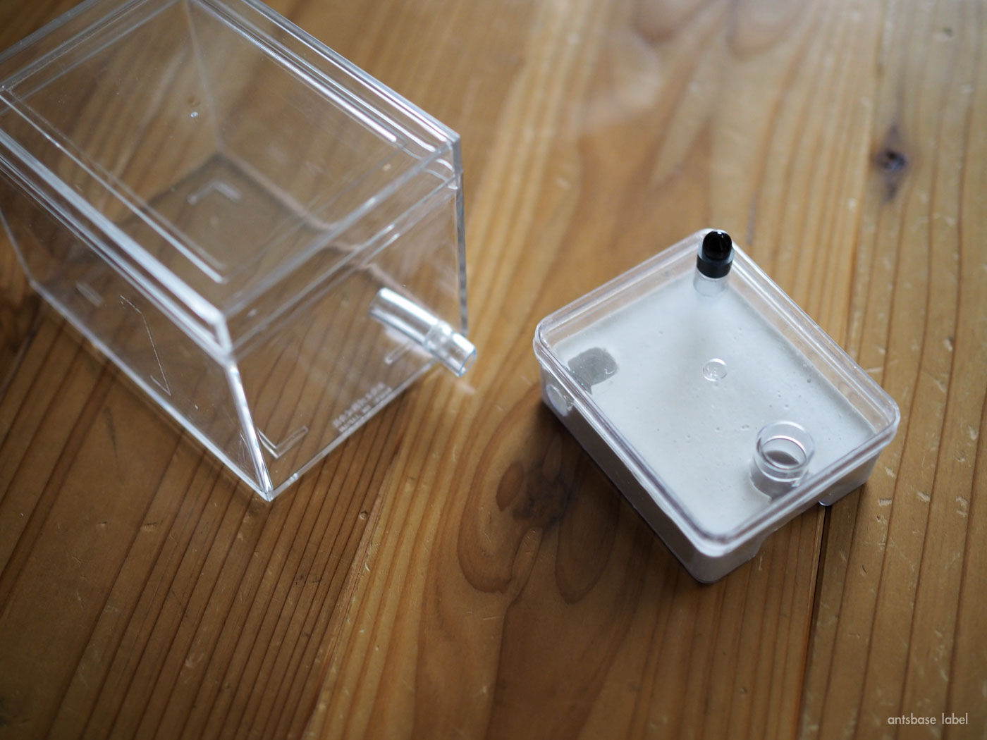 アリの巣飼育ケースを自作！百円均一の材料で作成する方法【石膏巣 