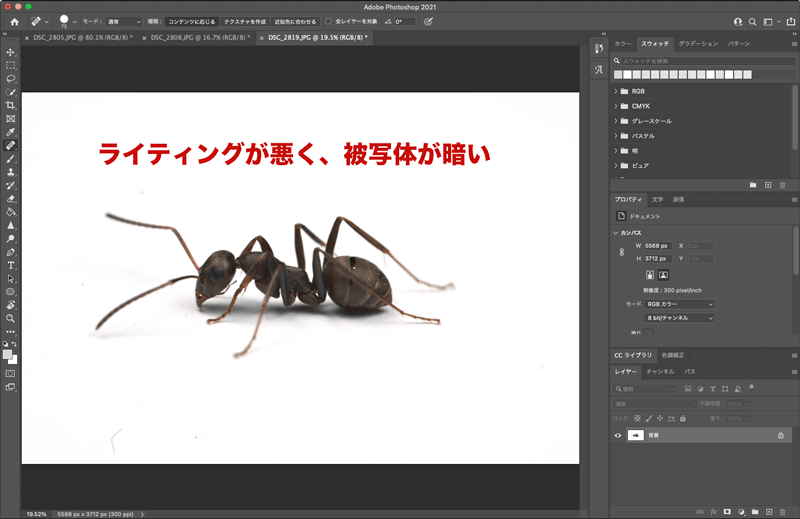 Photoshopで薄暗い背景を白く飛ばす方法  あんつべ｜アリ飼育初心者 