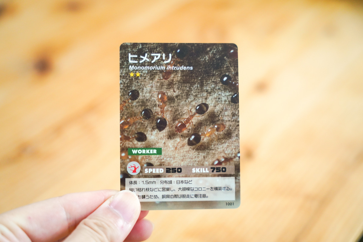 アリのトレーディングカード